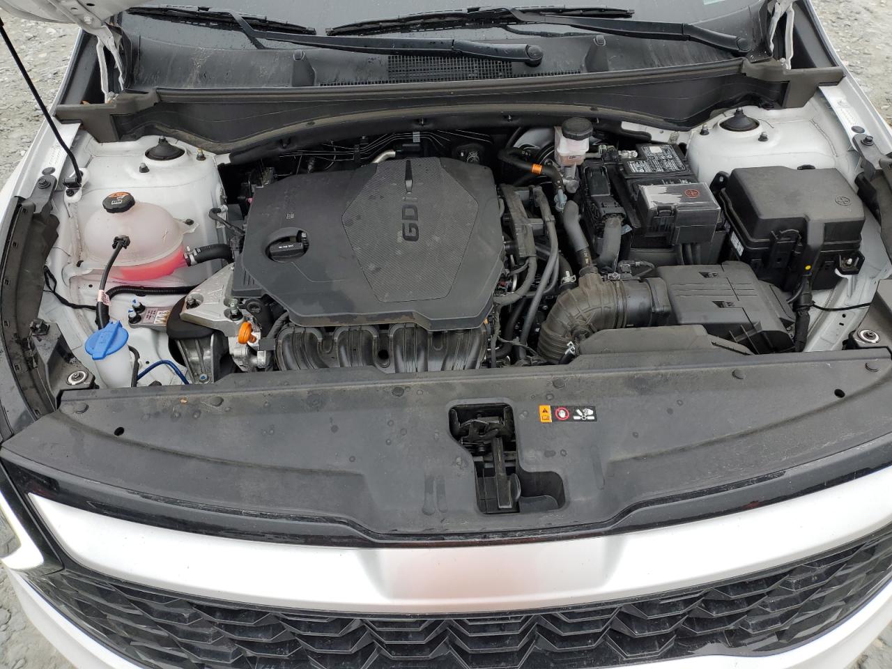 2024 KIA SPORTAGE EX VIN:5XYK33DFXRG209866