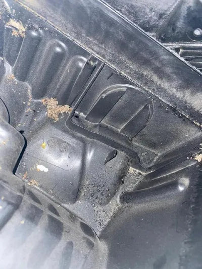 2019 BMW 2 Series Gran Tourer VIN: