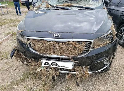 2017 Kia Carnival KNAMC81ABHS281610 VIN:KNAMC81ABHS281610