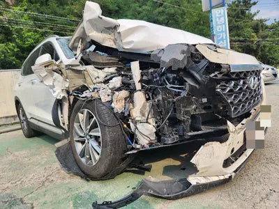 2019 Hyundai Santa FE KMHS381ADKU168779 VIN:KMHS381ADKU168779