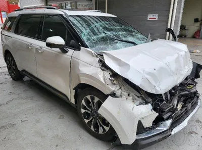 2021 Kia Carnival KNANC81BBMS128216 VIN:KNANC81BBMS128216