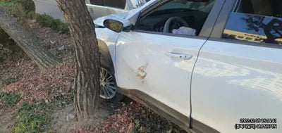 2020 Hyundai Kona KMHK4815GLU500662 VIN:KMHK4815GLU500662