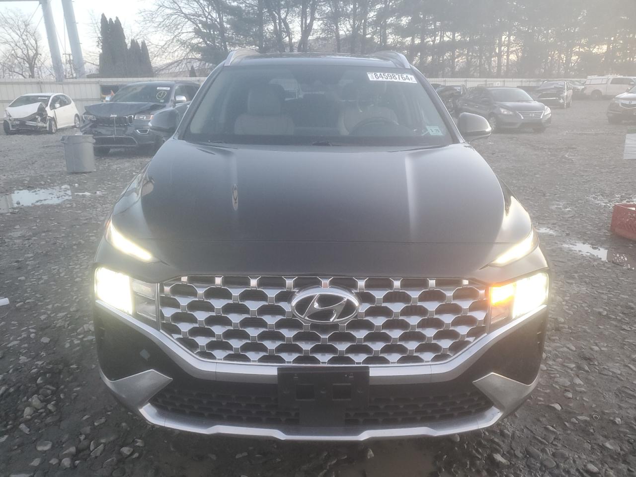 2023 HYUNDAI SANTA FE SEL PREMIUM VIN:5NMS3DA15PH024416