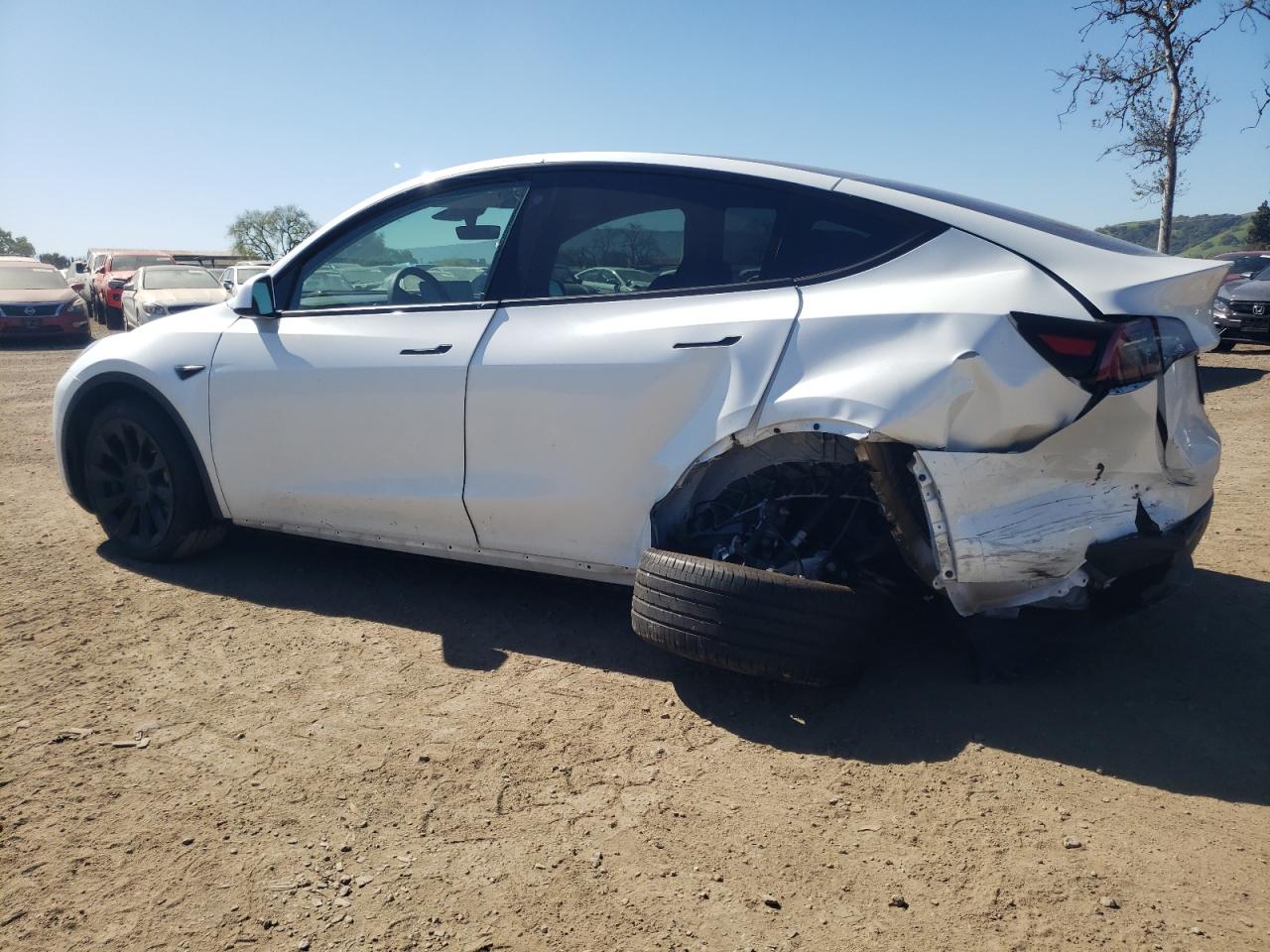 2023 TESLA MODEL Y  VIN:7SAYGDEEXPF675010