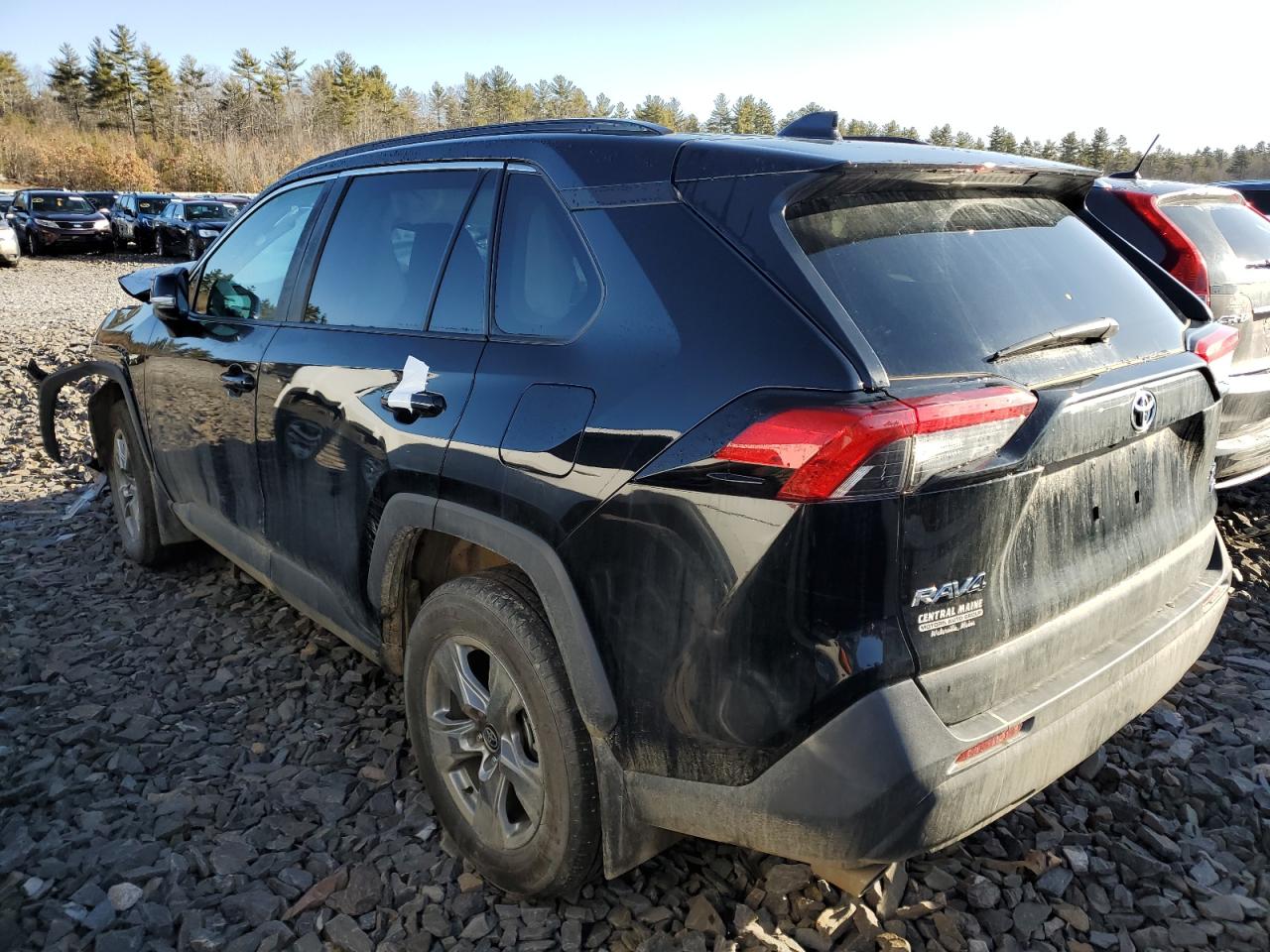 2024 TOYOTA RAV4 XLE VIN:2T3P1RFV3RC454515