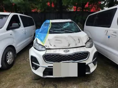 2020 Kia Sportage 955KMKNAPN813BLK8 VIN:955KMKNAPN813BLK8