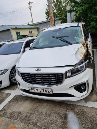2019 Kia Carnival KNAMB81ABKS472953 VIN:KNAMB81ABKS472953