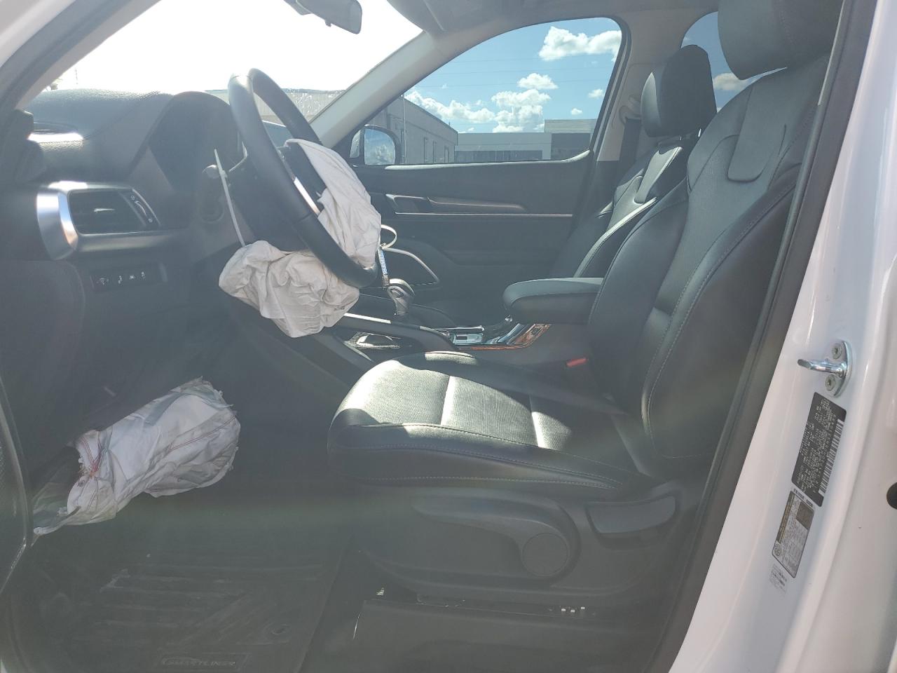 2022 KIA TELLURIDE LX VIN:5XYP2DHC6NG310489