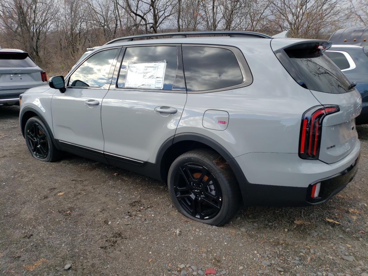 2024 KIA TELLURIDE SX VIN:5XYP5DGC2RG551013