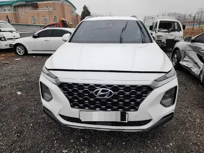 2019 Hyundai Santa FE KMHS581CBKU116989 VIN:KMHS581CBKU116989