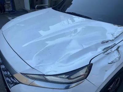 2019 Hyundai Santa FE VIN: