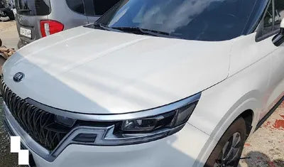2021 Kia Carnival KNANE81BBMS022169 VIN:KNANE81BBMS022169