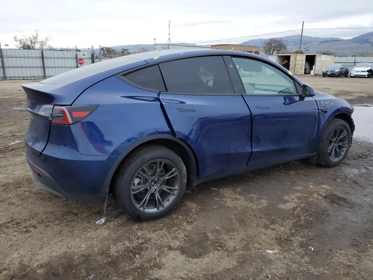 2024 TESLA MODEL Y  VIN:7SAYGDED7RF181553