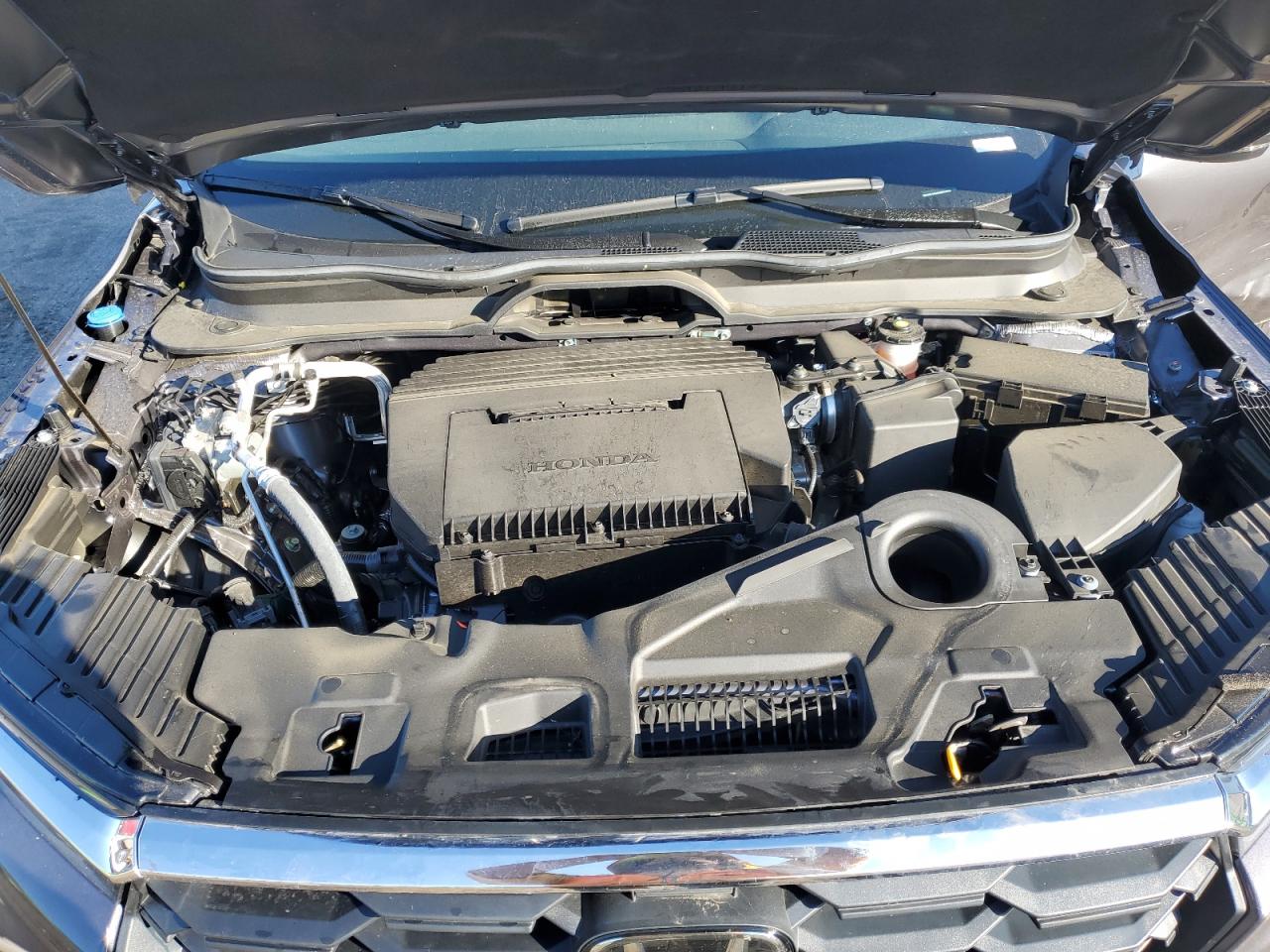 2024 HONDA PILOT EXL VIN:5FNYG1H49RB041981