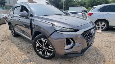 2019 Hyundai Santa FE KMHS381BBKU020928 VIN:KMHS381BBKU020928