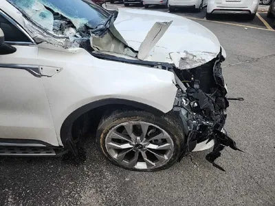 2021 Kia Sorento KNARH81BHMA048343 VIN:KNARH81BHMA048343