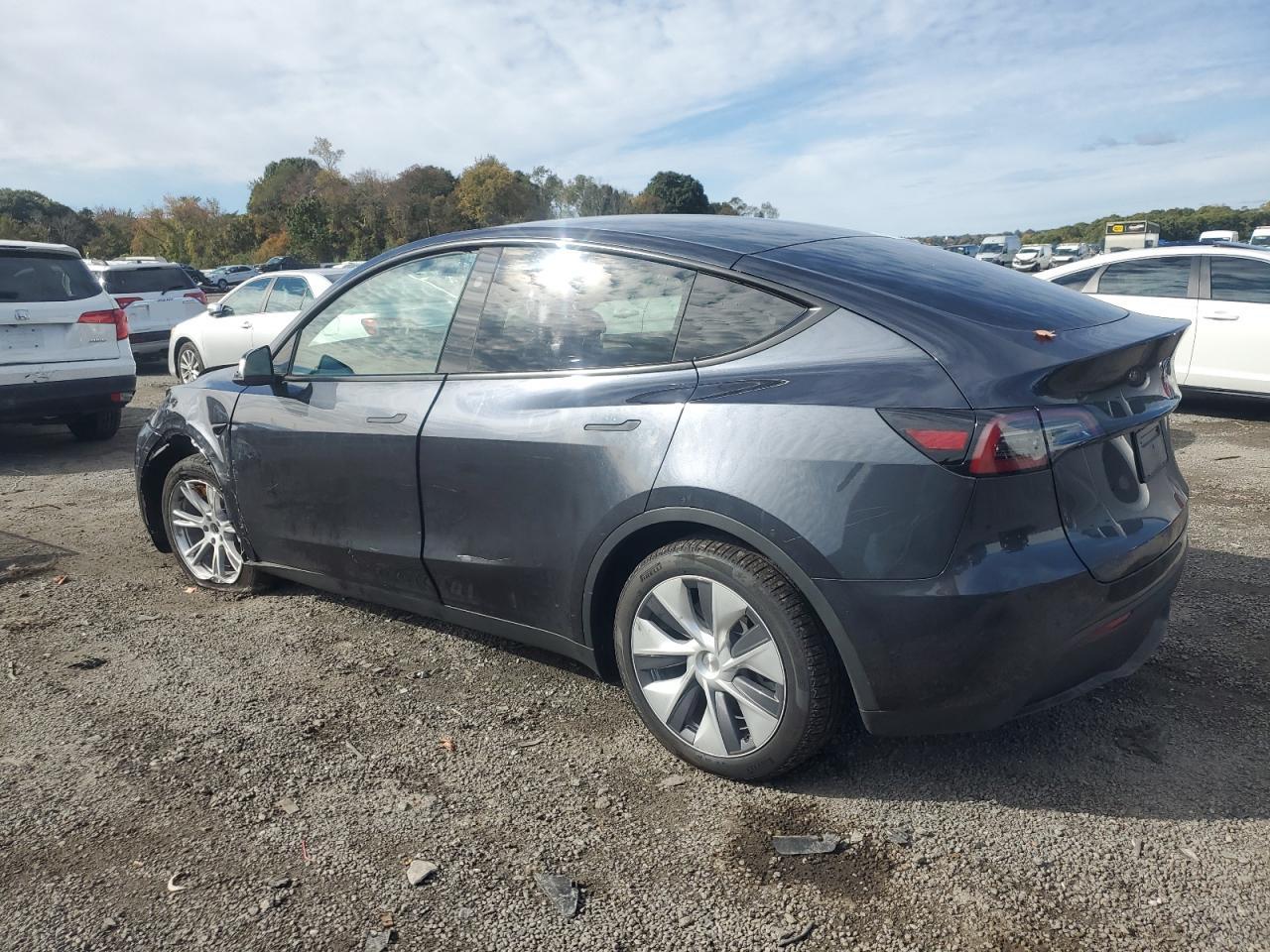 2024 TESLA MODEL Y  VIN:7SAYGDEEXRA283788