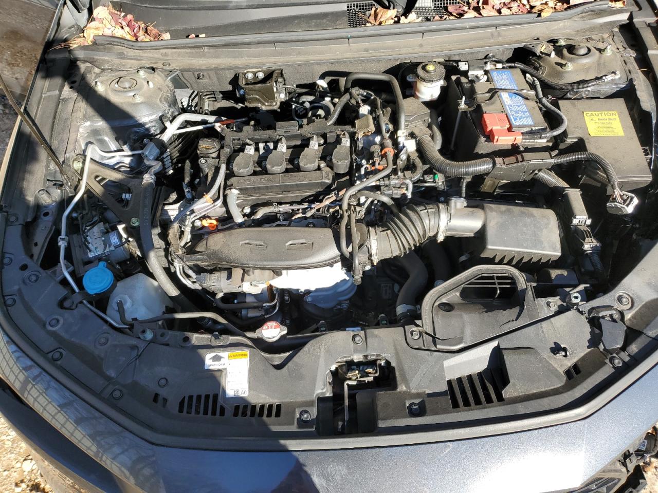 2024 HONDA ACCORD LX VIN:1HGCY1F23RA001530