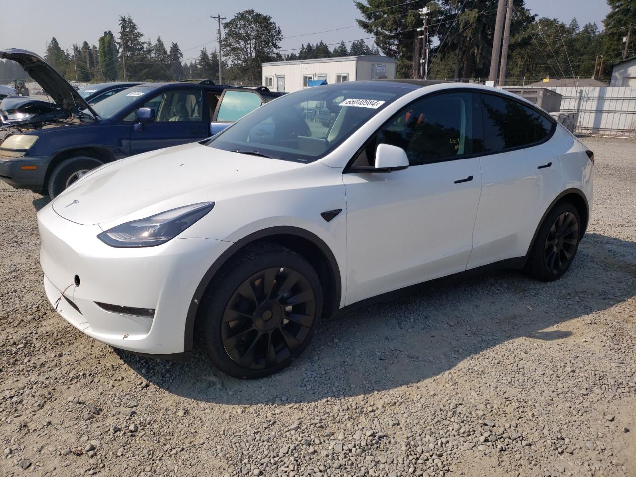 2023 TESLA MODEL Y  VIN:7SAYGDEE2PF626450