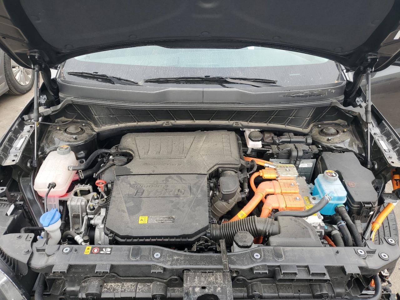 2023 KIA NIRO EX VIN:KNDCS3LF4P5071904