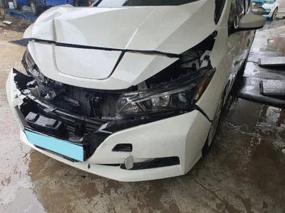 2019 Nissan Leaf 1N4AZ1CP1KC311856 VIN:1N4AZ1CP1KC311856