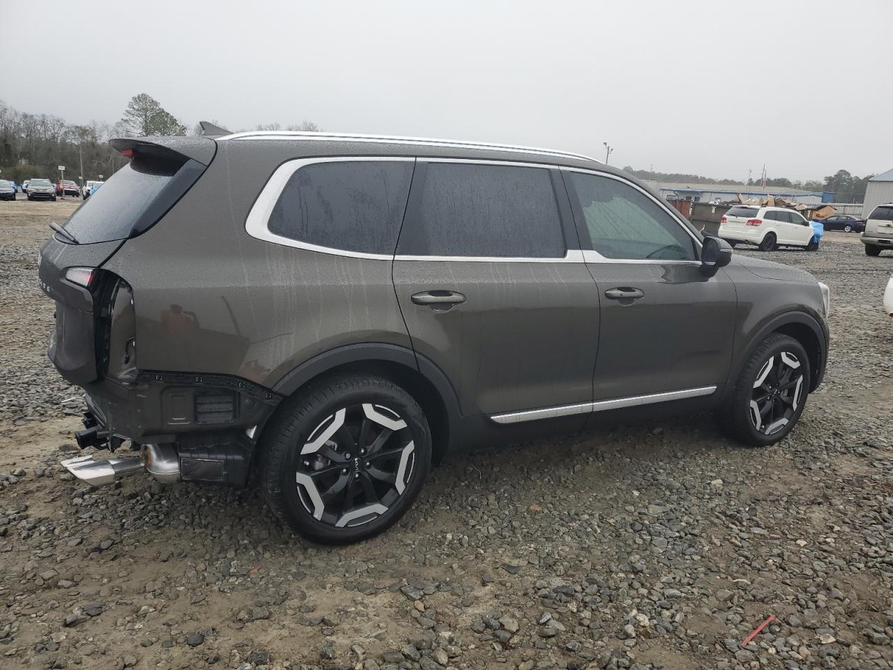 2024 KIA TELLURIDE EX VIN:5XYP34GCXRG470024