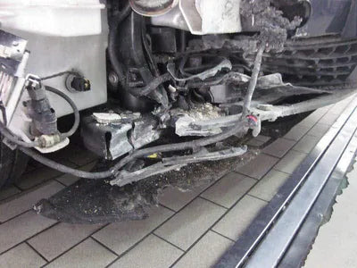 2020 Hyundai Santa FE KMHS381HGMU333983 VIN:KMHS381HGMU333983