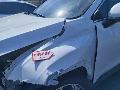 2019 Hyundai Santa FE KMHS281BBKU161615 VIN:KMHS281BBKU161615