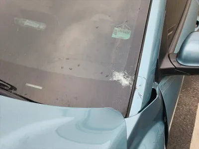 2019 Hyundai Kona KMHK381GFKU029477 VIN:KMHK381GFKU029477