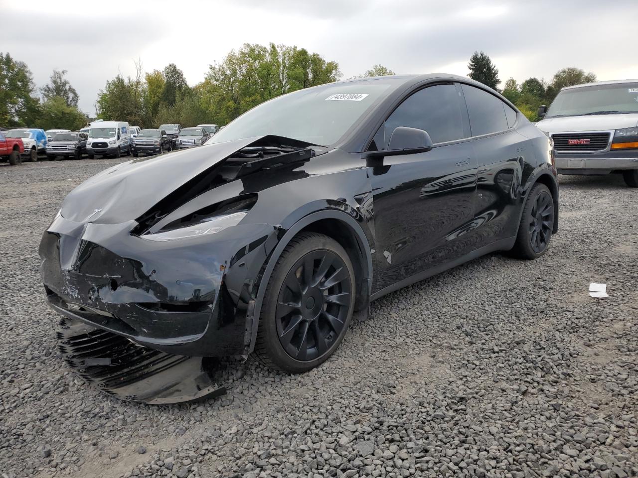 2022 TESLA MODEL Y  VIN:7SAYGDEE0NF545055