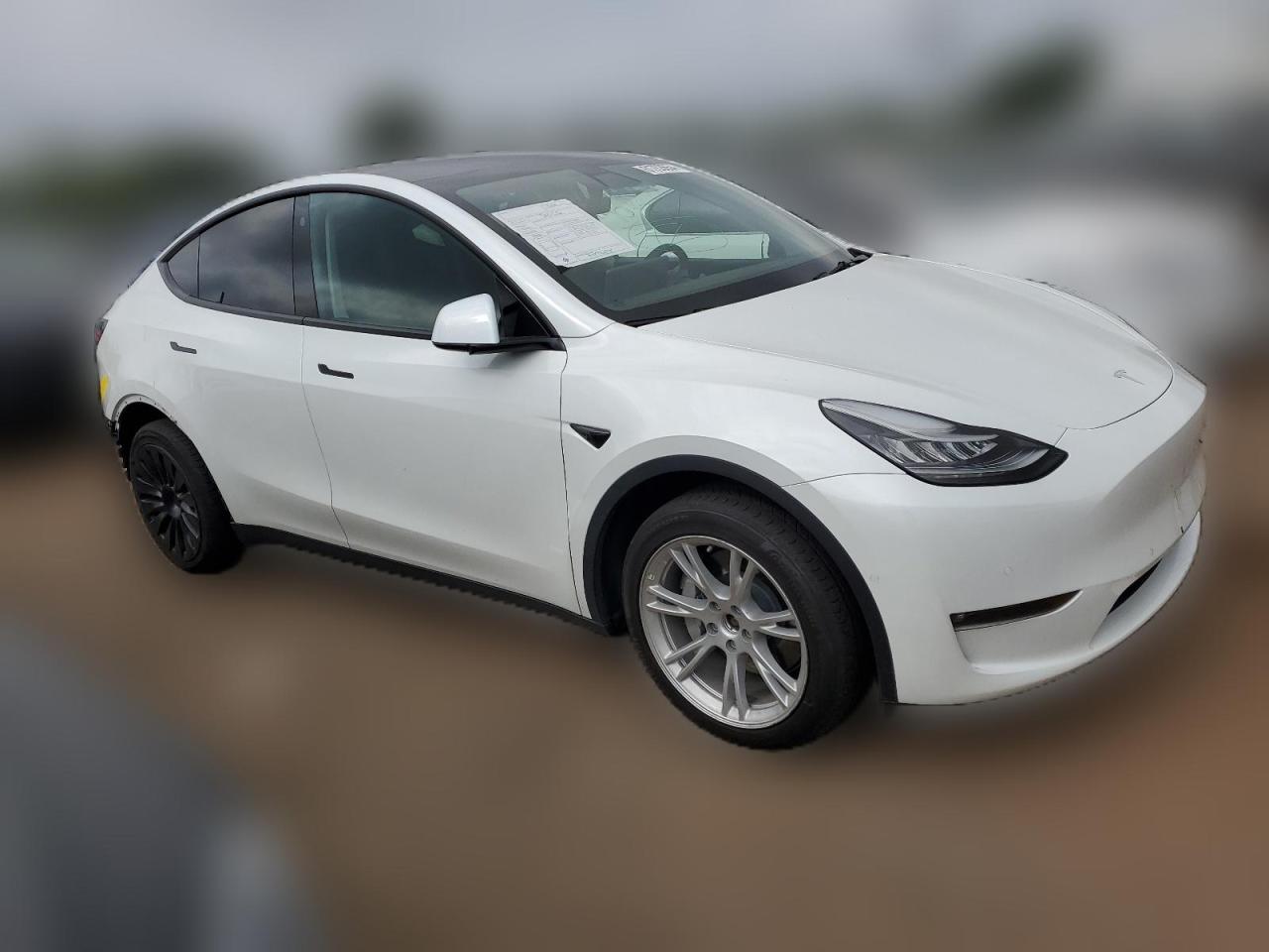 2022 TESLA MODEL Y  VIN:7SAYGDEE0NF321218