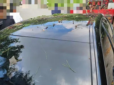 2017 Genesis G80 NONE VIN: