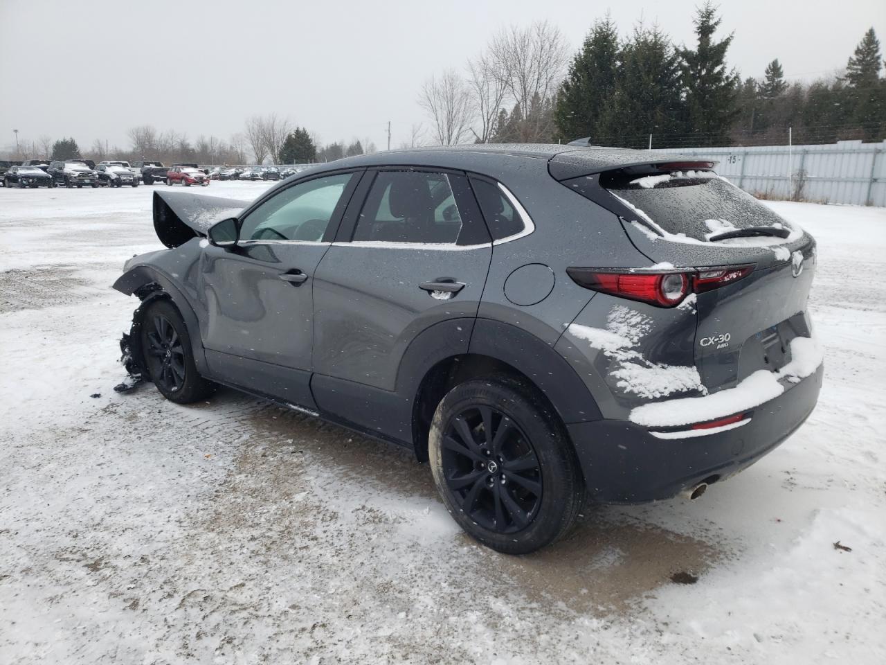 2023 MAZDA CX-30 PREMIUM VIN:3MVDMBDM2PM530927