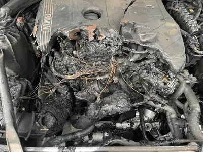 2020 BMW 530 WBAJR5105LWW73970 VIN:WBAJR5105LWW73970