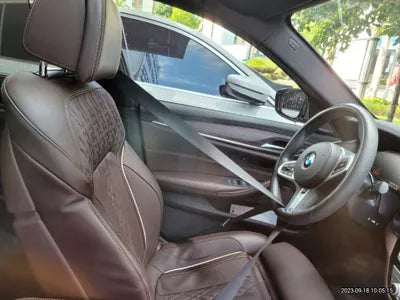 2020 BMW 520 WBAJF3102LCE63747 VIN:WBAJF3102LCE63747