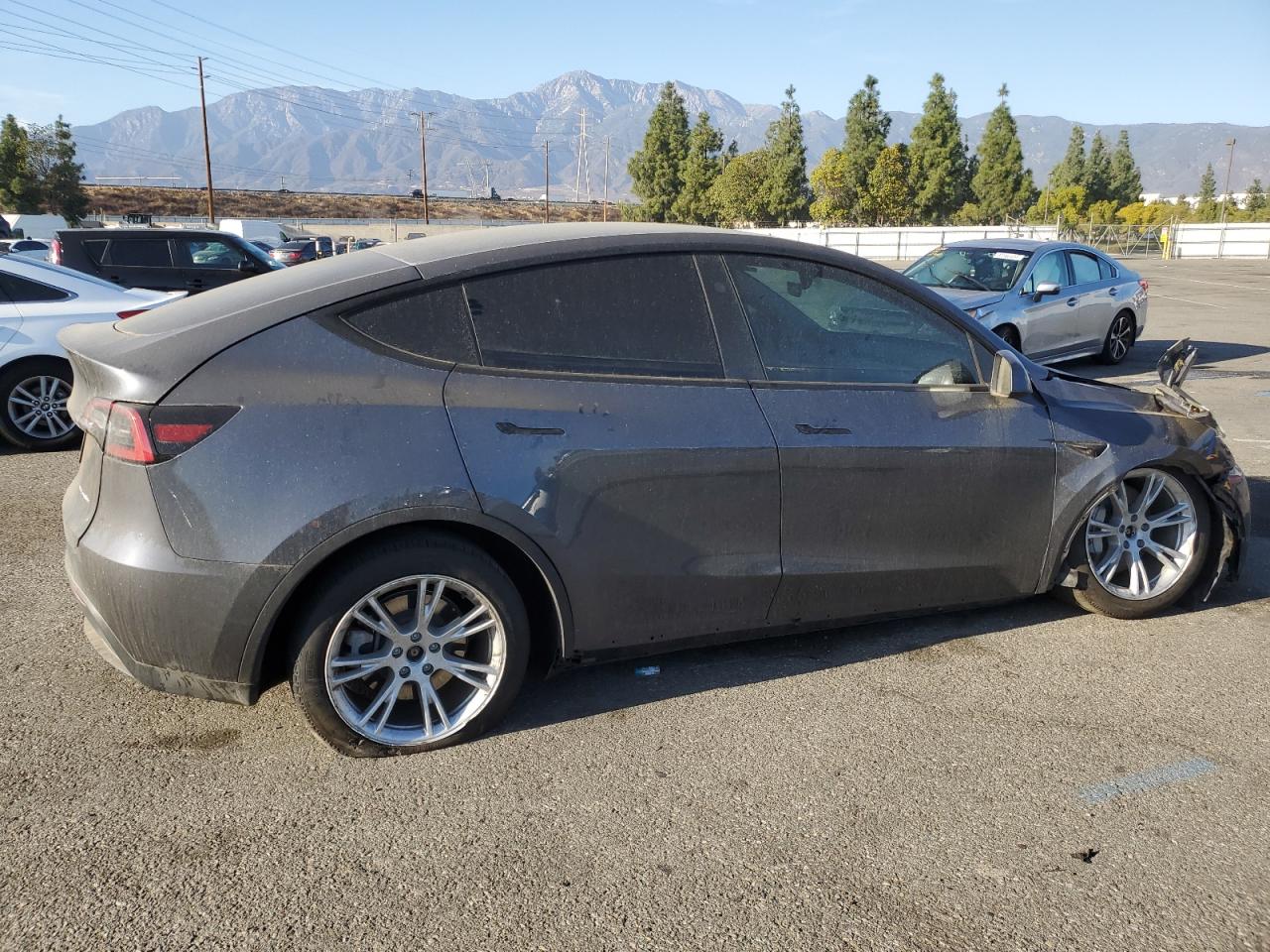 2023 TESLA MODEL Y  VIN:7SAYGDEE8PA196792