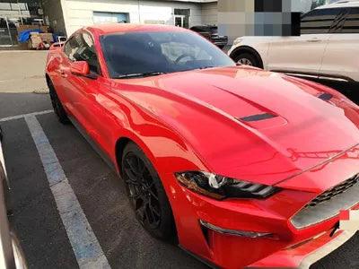 2019 Ford Mustang VIN: