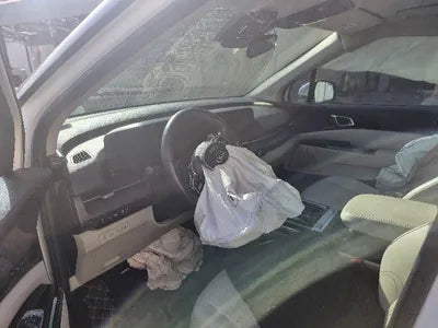 2021 Kia Carnival KNANE81BBMS068076 VIN:KNANE81BBMS068076
