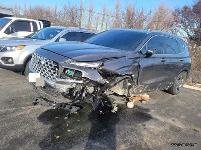 2021 Hyundai Santa FE KMHS381HGMU349664 VIN:KMHS381HGMU349664
