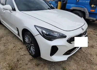 2019 Kia Stinger KNAE651BDKS045522 VIN:KNAE651BDKS045522