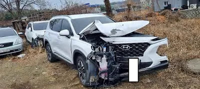 2019 Hyundai Santa FE KMHS381BBKU051777 VIN:KMHS381BBKU051777