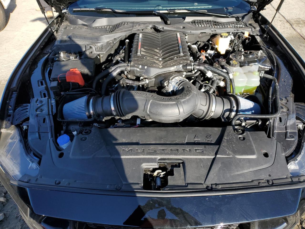 2024 FORD MUSTANG GT VIN:1FA6P8CF1R5427889