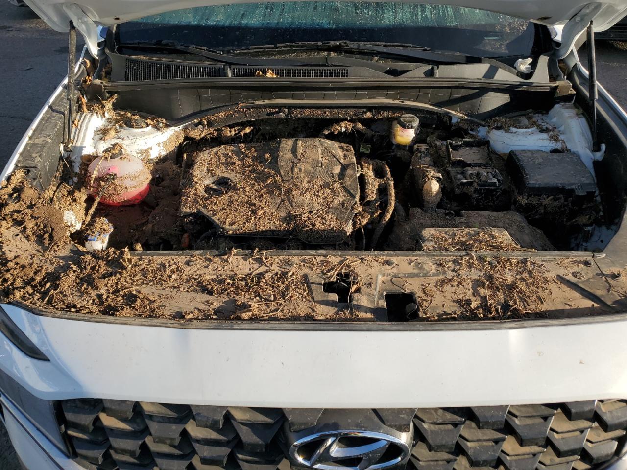2023 HYUNDAI SANTA FE SE VIN:5NMS14AJ6PH657903