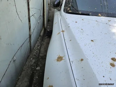 2018 Genesis G70 VIN: