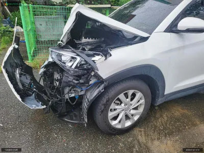 2019 Hyundai Tucson KMHJ281ADKU151421 VIN:KMHJ281ADKU151421