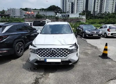 2021 Hyundai Santa FE KMHS281LGMU385620 VIN:KMHS281LGMU385620