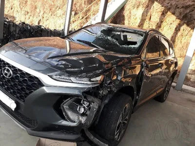 2019 Hyundai Santa FE KMHS281BBKU115236 VIN:KMHS281BBKU115236