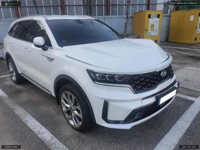 2020 Kia Sorento KNARM81BGMA049603 VIN:KNARM81BGMA049603