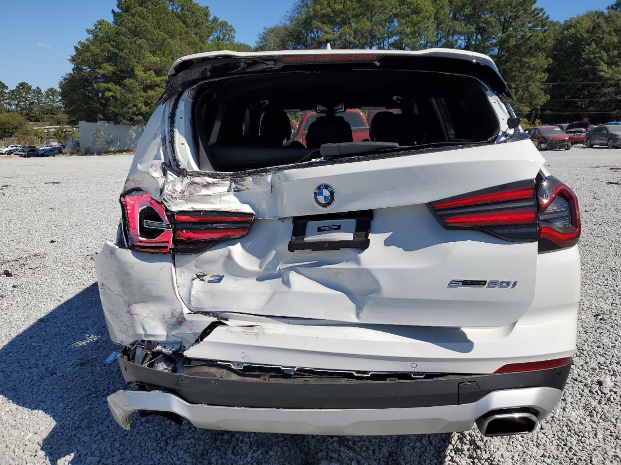 2023 BMW X3 SDRIVE30I VIN:WBX47DP03PN223062