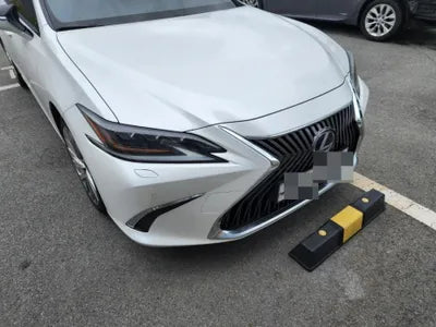 2019 Lexus ES 300 VIN: